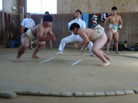 DSC00061