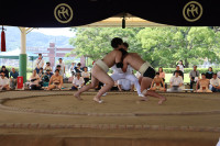 IMG_8511